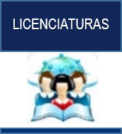 Licenciatura